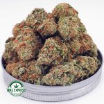 Buy Cannabis Silver Haze AA at MMJ Express Online Shop