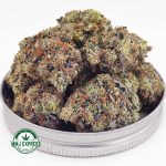 Buy Cannabis Skywalker OG AAAA MMJ Express Online Shop