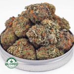 Buy Cannabis Tropical Zkittlez AAA at MMJ Express Online Shop