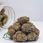 Buy Cannabis Tropical Zkittlez AAA at MMJ Express Online Shop