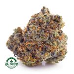 Buy Cannabis Dutch Treat AAA at MMJ Express Online Shop