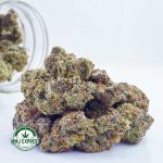 Buy Cannabis Dutch Treat AAA at MMJ Express Online Shop