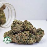 Buy Cannabis Trainwreck AA at MMJ Express Online Shop