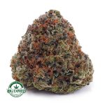 Buy Cannabis Blueberry Icewreck  AAA at MMJ Express Online Shop