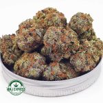 Buy Cannabis Blueberry Icewreck  AAA at MMJ Express Online Shop
