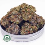 Buy Cannabis El Jefe AAA at MMJ Express Online Shop