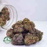 Buy Cannabis El Jefe AAA at MMJ Express Online Shop