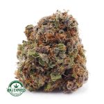 Buy Cannabis Amnesia Haze AAAA (Popcorn Nugs) at MMJ Express Online Shop