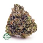 Buy Cannabis Kosher Kush AAAA at MMJ Express Online Shop