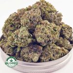 Buy Cannabis Kosher Kush AAAA at MMJ Express Online Shop