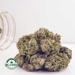 Buy Cannabis Kosher Kush AAAA at MMJ Express Online Shop