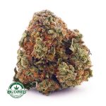 Buy Cannabis Cherry Bomb AAA at MMJ Express Online Shop