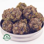 Buy Cannabis Pink Congo AAAA  MMJ Express Online Shop