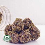 Buy Cannabis Pink Congo AAAA  MMJ Express Online Shop