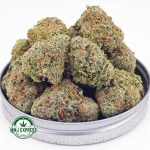 Buy Cannabis Jack Herer AAAA at MMJ Express Online Shop