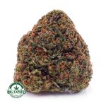 Buy Cannabis Master Jedi AA at MMJ Express Online Shop