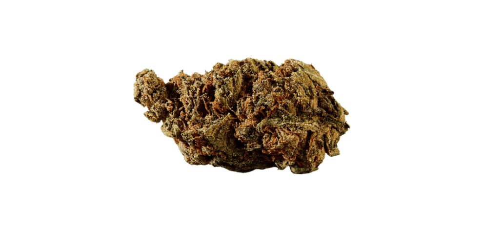 BC Cannabis, also famously known as BC Bud, is a term synonymous with world-class marijuana. 