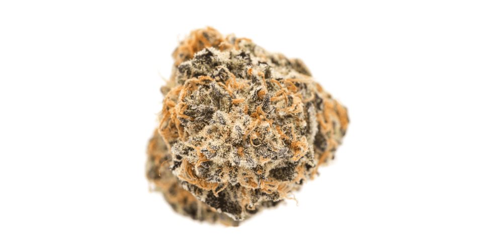 Ready to dive into the vibrant world of Mandarin Cookies strain? Knowing how to best use this strain can significantly enhance your experience and its potential benefits.