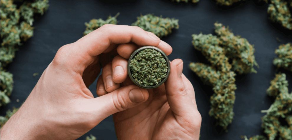 Firstly, you'll want to know what type of cannabis you are getting. As discussed before, you can choose between Sativas, Indicas, or hybrid strains. 