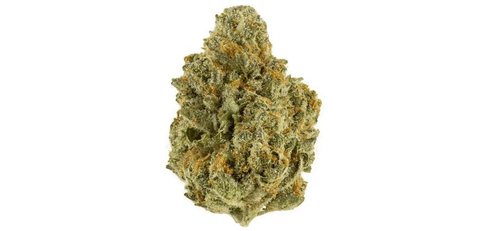 Now that you know about the most popular cannabis strains and their effects, where can you safely buy weed online in Canada?