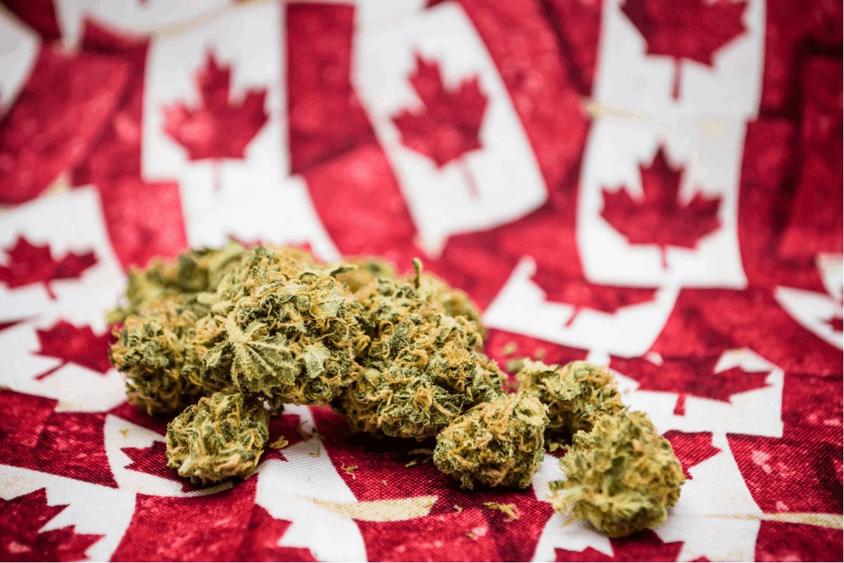 When we discuss Canadian cannabis, we're referring to a whole host of products derived from the marijuana plant legally available across Canada. Yes, completely legal. 