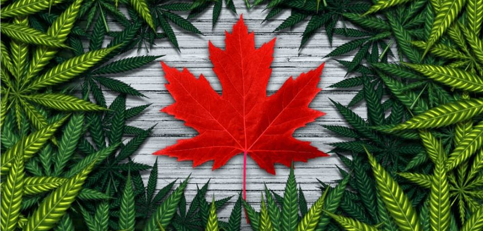 When we discuss Canadian cannabis, we're referring to a whole host of products derived from the marijuana plant legally available across Canada. Yes, completely legal. 