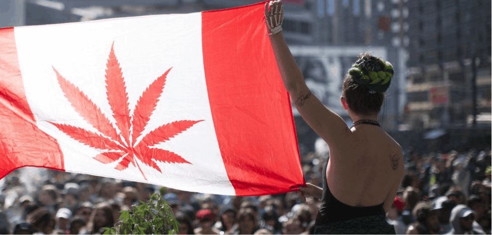 Cannabis use in Canada dates back centuries. Some records show indigenous communities used it for medicinal and spiritual purposes.