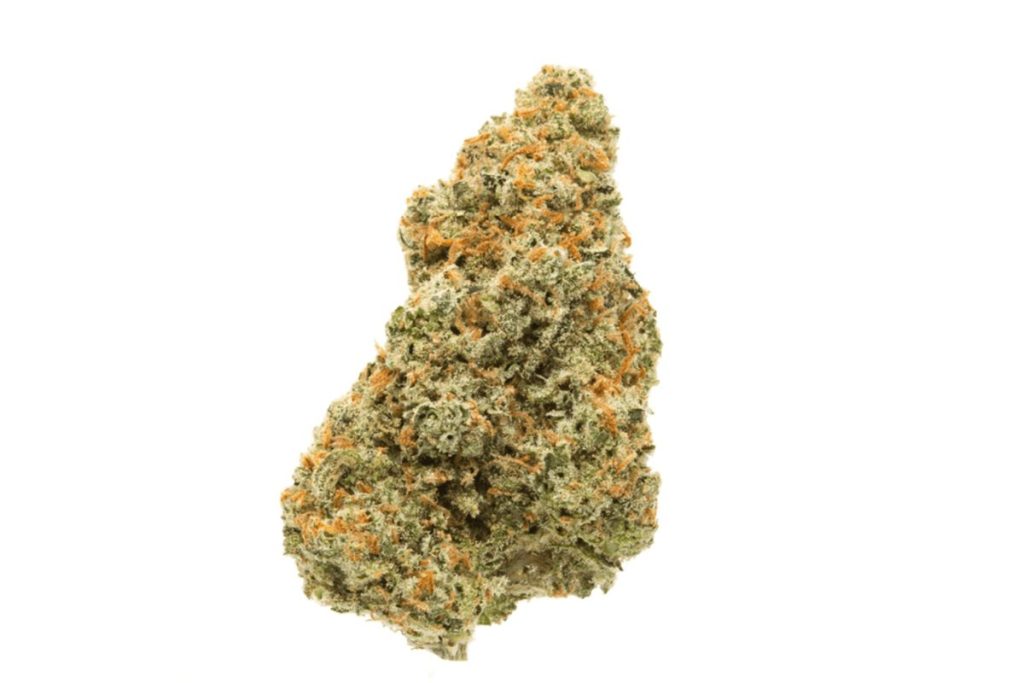 In the world of cannabis, Jack Herer strain is essentially the James Bond - it's suave, sophisticated, and packs a punch.