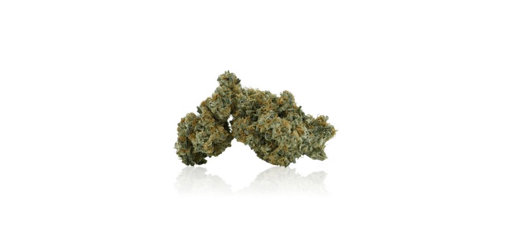 Here is the most thrilling part of this Durban Poison strain review - we're about to unveil the top ten reasons why buying the Durban Poison online will be the best choice you’ve made today.