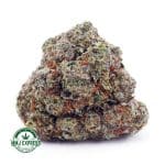 Buy Cannabis Cinderella 99 AAAA Cannabis Online at MMJ Express