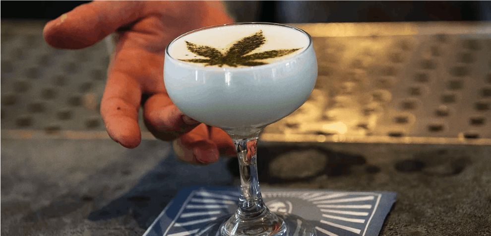 Beverages offer a wide landscape for exploration, and there's no denying the allure of a beautifully crafted drink that complements your chosen strain of edible weed. 