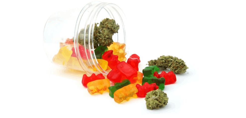 What can you get from your online dispensary in Canada? Take a glance at this selection of edibles in Canada.