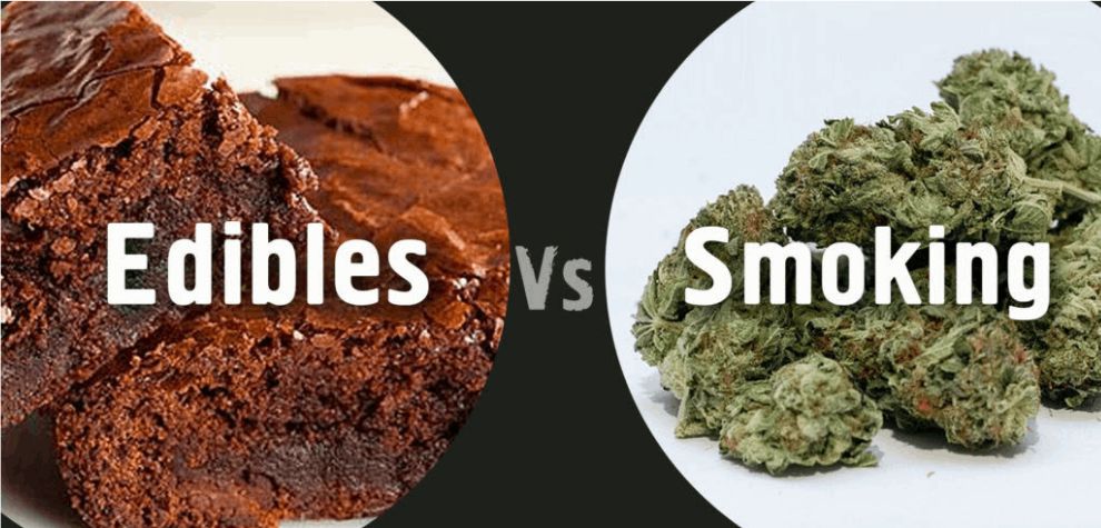 Choosing between smoking and eating cannabis is a decision that ultimately hinges on personal preference, specific needs, and individual circumstances. 