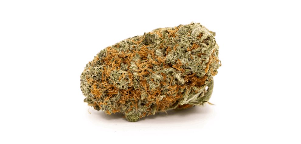 If you're quick to take action and buy weed online right now, chances are you'll discover a high-quality and safe GSC strain waiting for you at your chosen dispensary. 