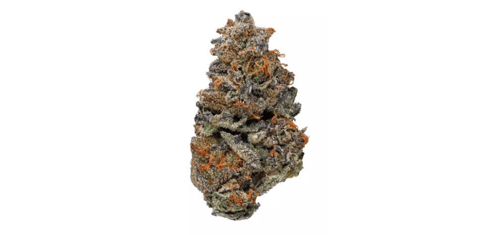 As a typical Indica, GSC brings on sedative effects, offering deep relaxation, peace, and the utmost tranquillity.
