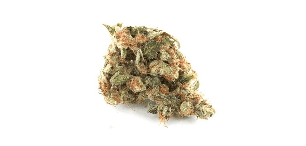 Finally, we've arrived at the main event of this GSC strain review – the top 10 reasons why you should buy weed online and indulge in this tasty and powerful Indica. 
