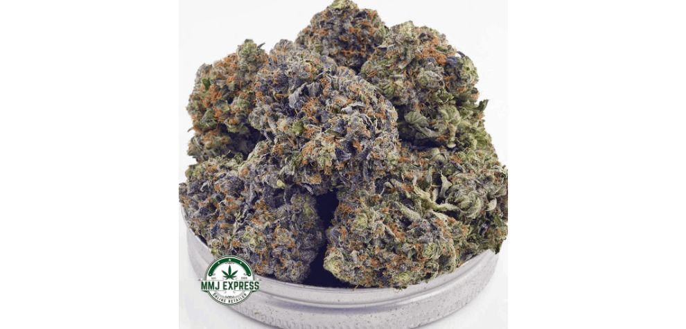 This cannabis strain was created to introduce a cannabis strain capable of managing pain and producing an easy-to-grow, productive plant.