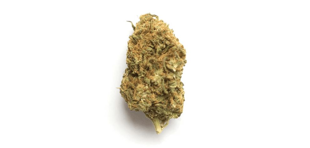 The Ice Cream Cake is one of the most potent dessert-like strains you can find at an online weed dispensary.