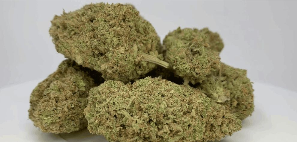 In an increasingly digital world, the appeal of online shopping has broadened to include all sorts of products and services, and the cannabis industry is no different. canadian online dispensaries