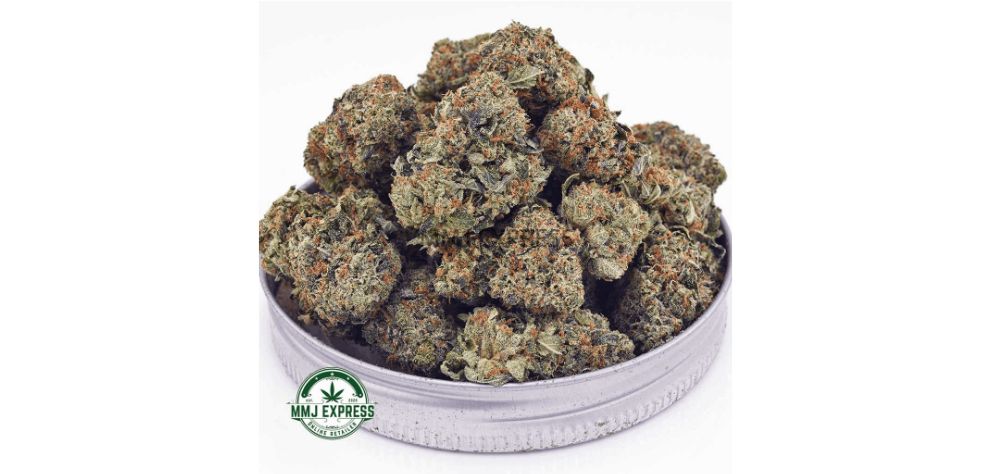 As mentioned, the Pink Rockstar AAA is an excellent option for users who want to try a similar bud to the Rockstar strain. 