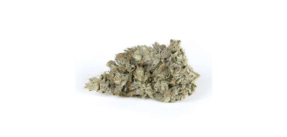 Like the Rockstar strain, Pink Rockstar is an Indica hybrid. However, it is the cross between Pink Kush and Rockstar.