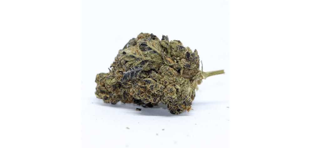 In most cases, the Rockstar strain offers moderate potency, providing mellow and balanced effects. 