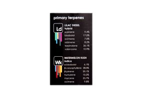 Buy Straight Goods – 2 In 1 Combo – Liliac Disel (HYBRID) x Watermelon Haze (INDICA) Cartridges at MMJ Express Online Shop