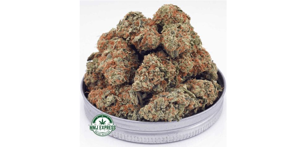 The Silver Haze AA is hands-down the best weed for creativity. It's an almost pure Sativa (90 percent Sativa and only 10 percent Indica) with around 20 percent of THC. 