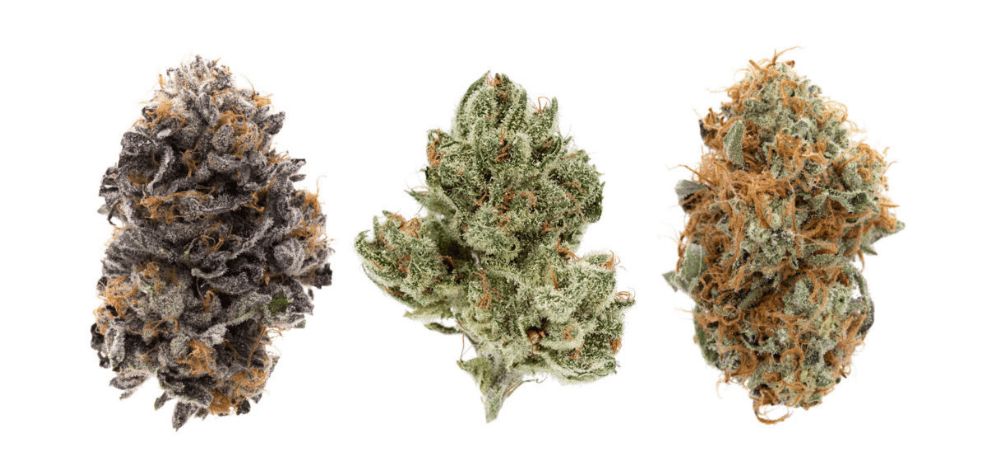 You might be wondering why anyone should bother to understand the effects of different strains of weeds. After all, isn't the goal just to get high?