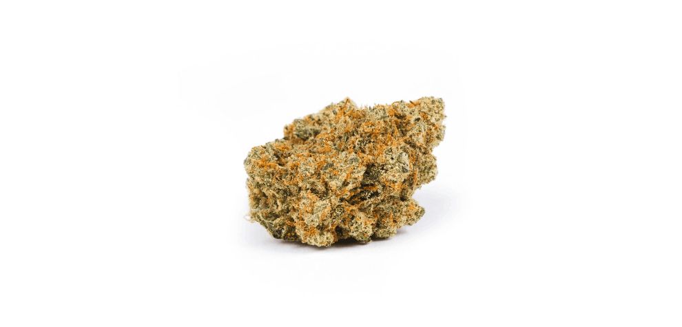 Dive into the rich terpene profile of the Jack Herer strain, and you'll uncover an alluring combination of terpinolene, caryophyllene, and pinene. 