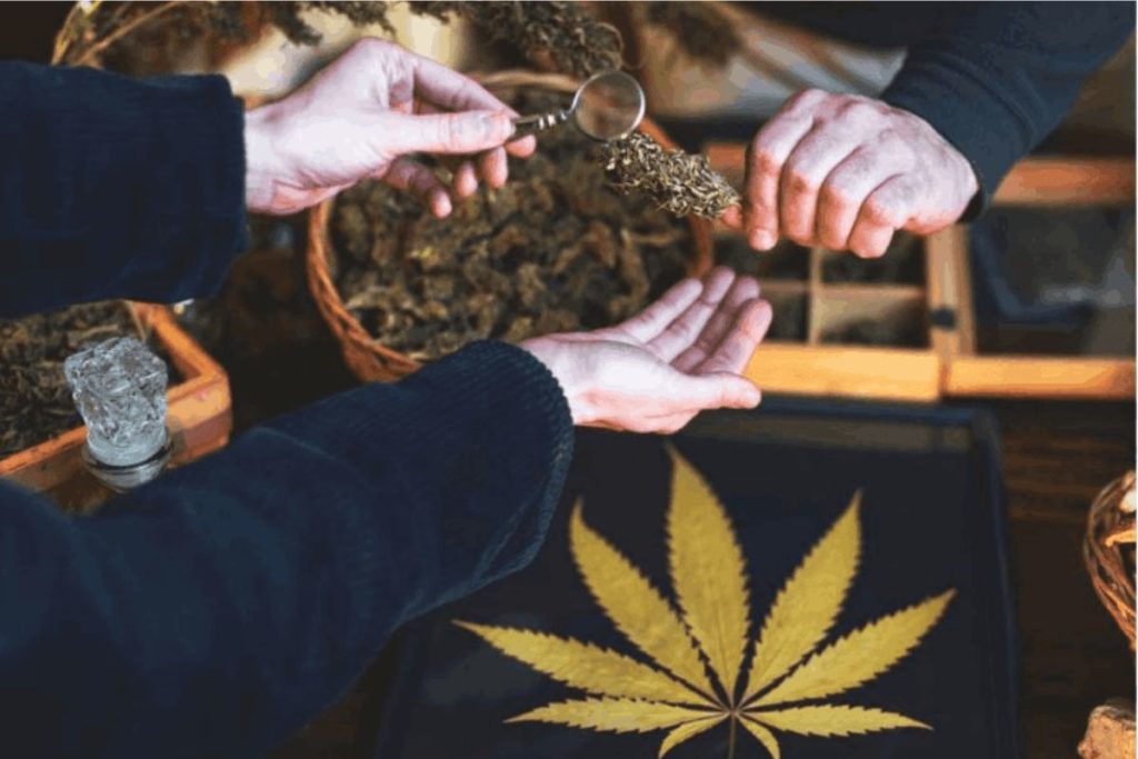 Learn the role of canadian online dispensaries & how they revolutionized the cannabis industry. Uncover the tips & tricks to find the right dispensary.
