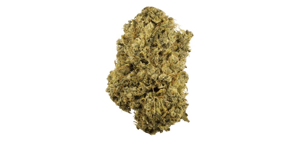 The Durban strain is one of the most popular buds in Canada, and it is a 100 percent Sativa strain that's as rare as a mythical sober unicorn. 