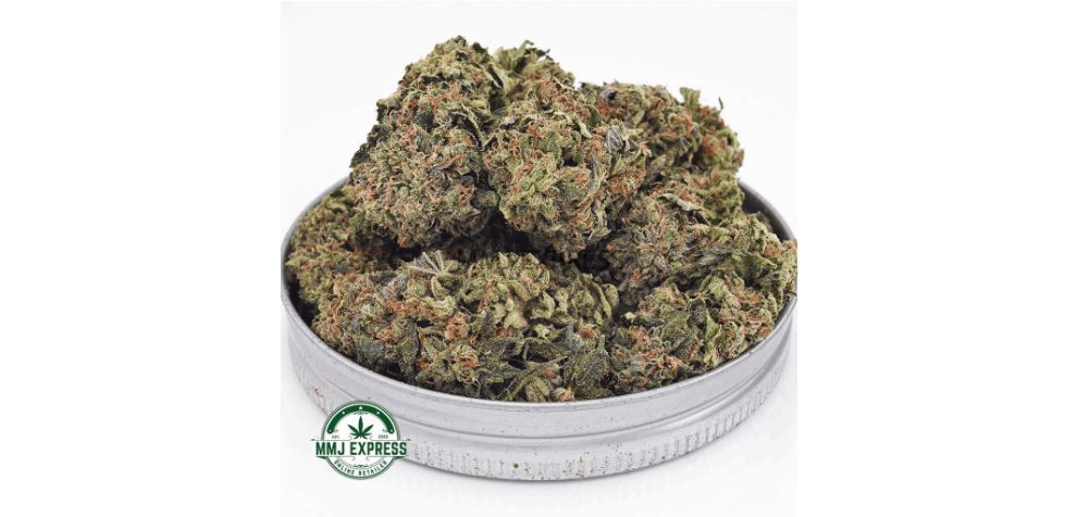 With around 18 percent of THC, the Trainwreck AA provides users with a more mellow high. 
