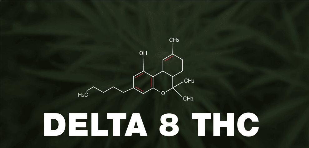 Let's recap "What is Delta 8 THC?". In short, Delta 8 THC, which we've discussed in this guide, is a cannabinoid type found in the marijuana plant. 